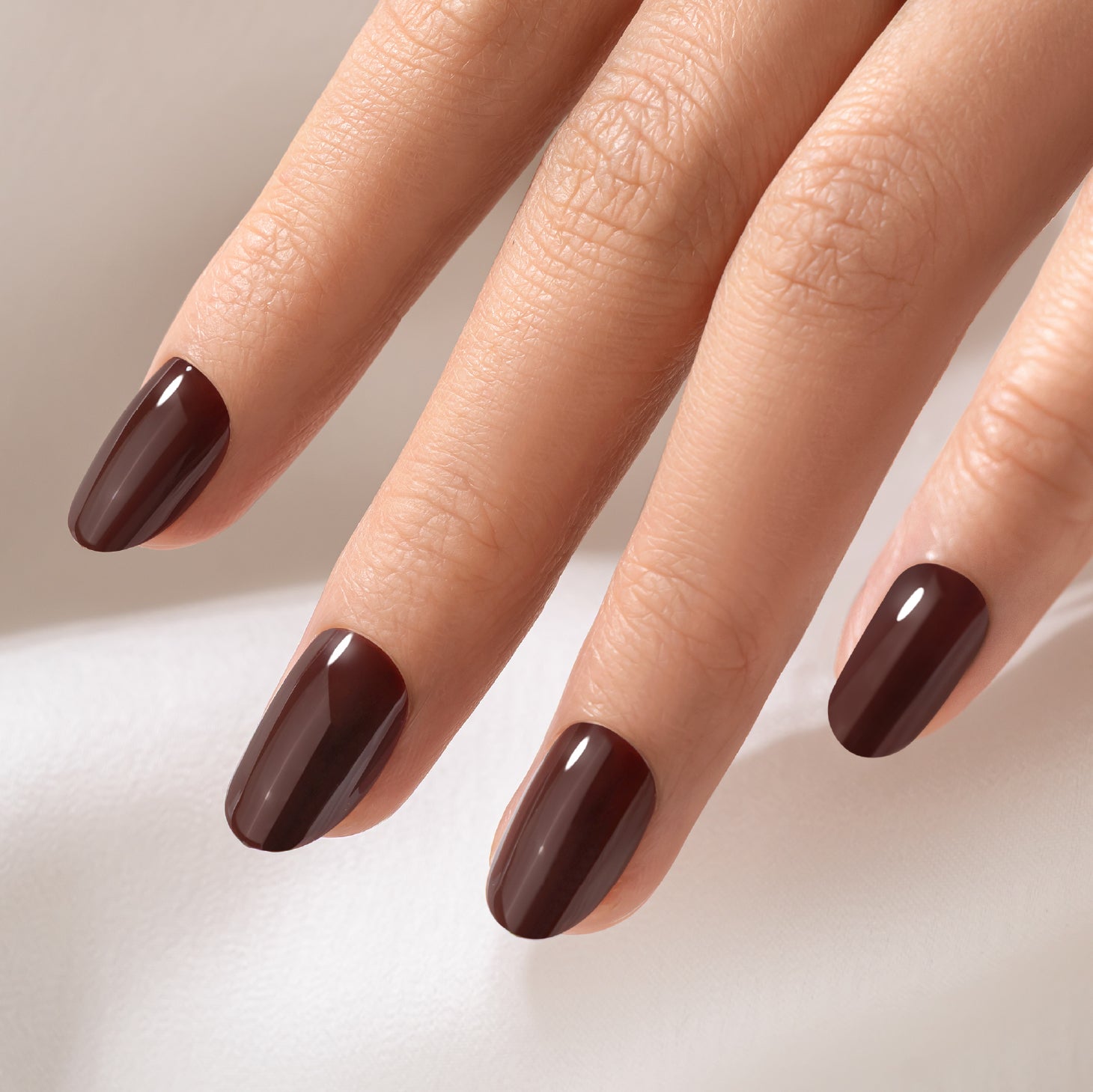 Latte Luxe Duo (Brown This Way + Latte Us Be Real)