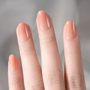 Gentle in Ombre Blush