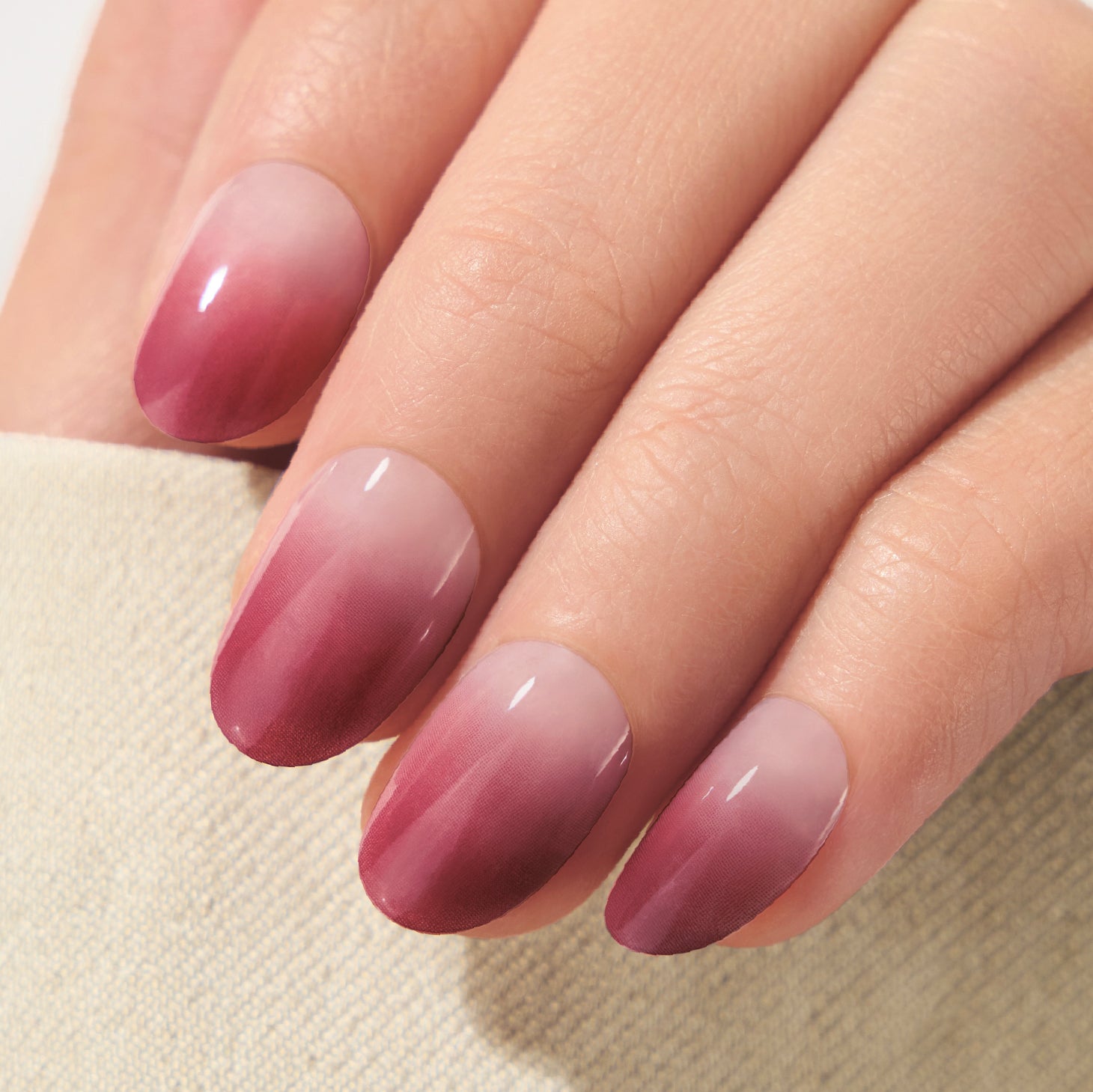 Loyal in Ombre Plum