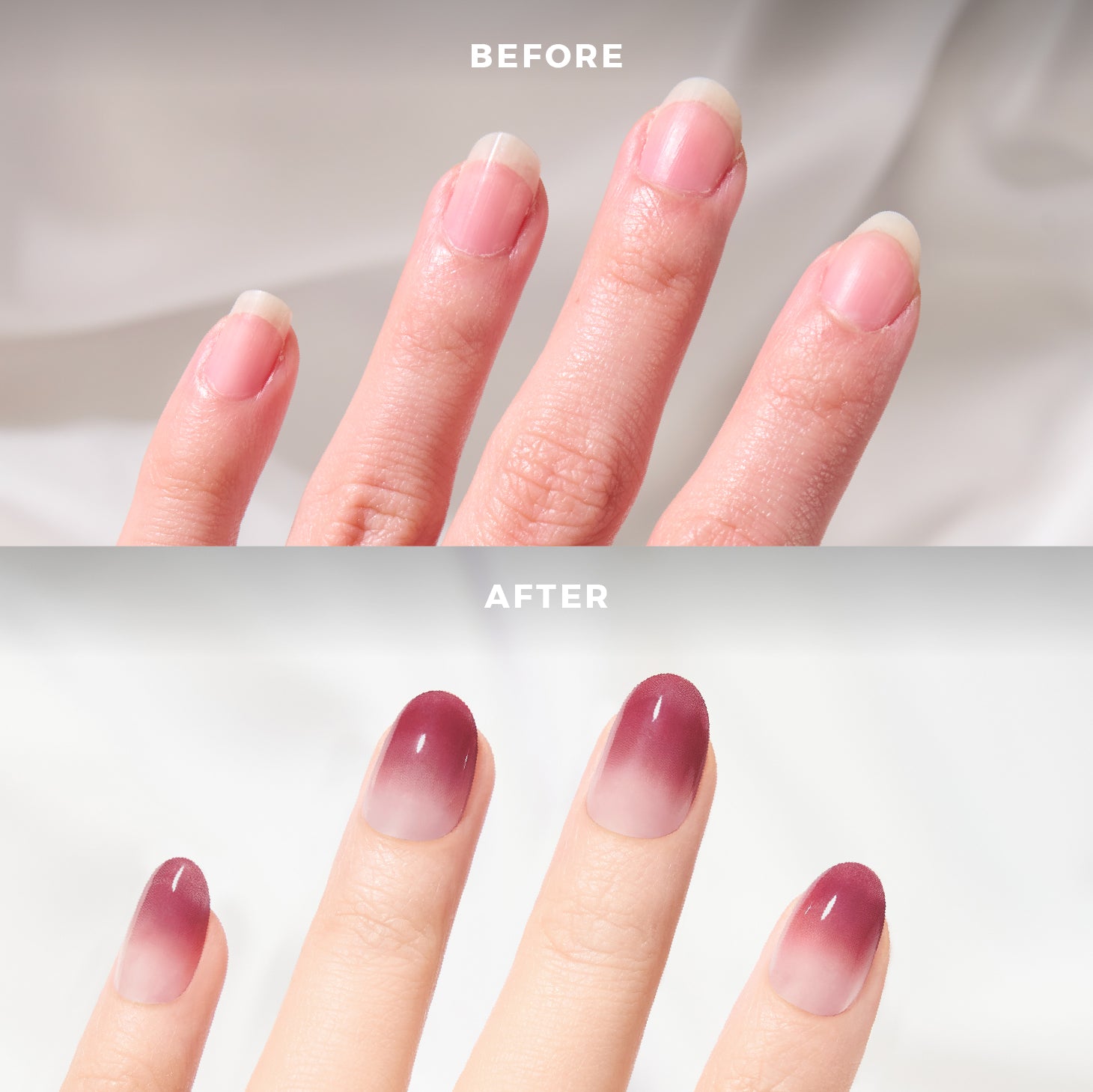 Loyal in Ombre Plum